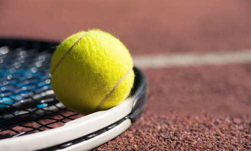 Article en page d'accueil